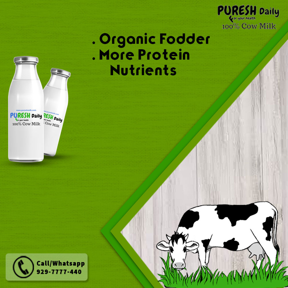 Best quality milk